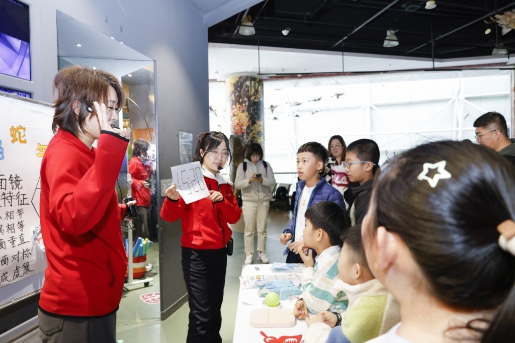 参与镜子迷宫教育活动