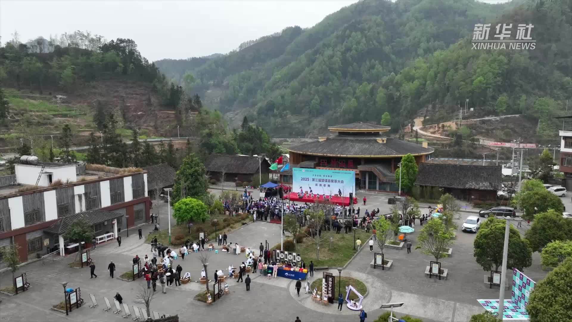 贵州举行第三届望谟县紫茶大会