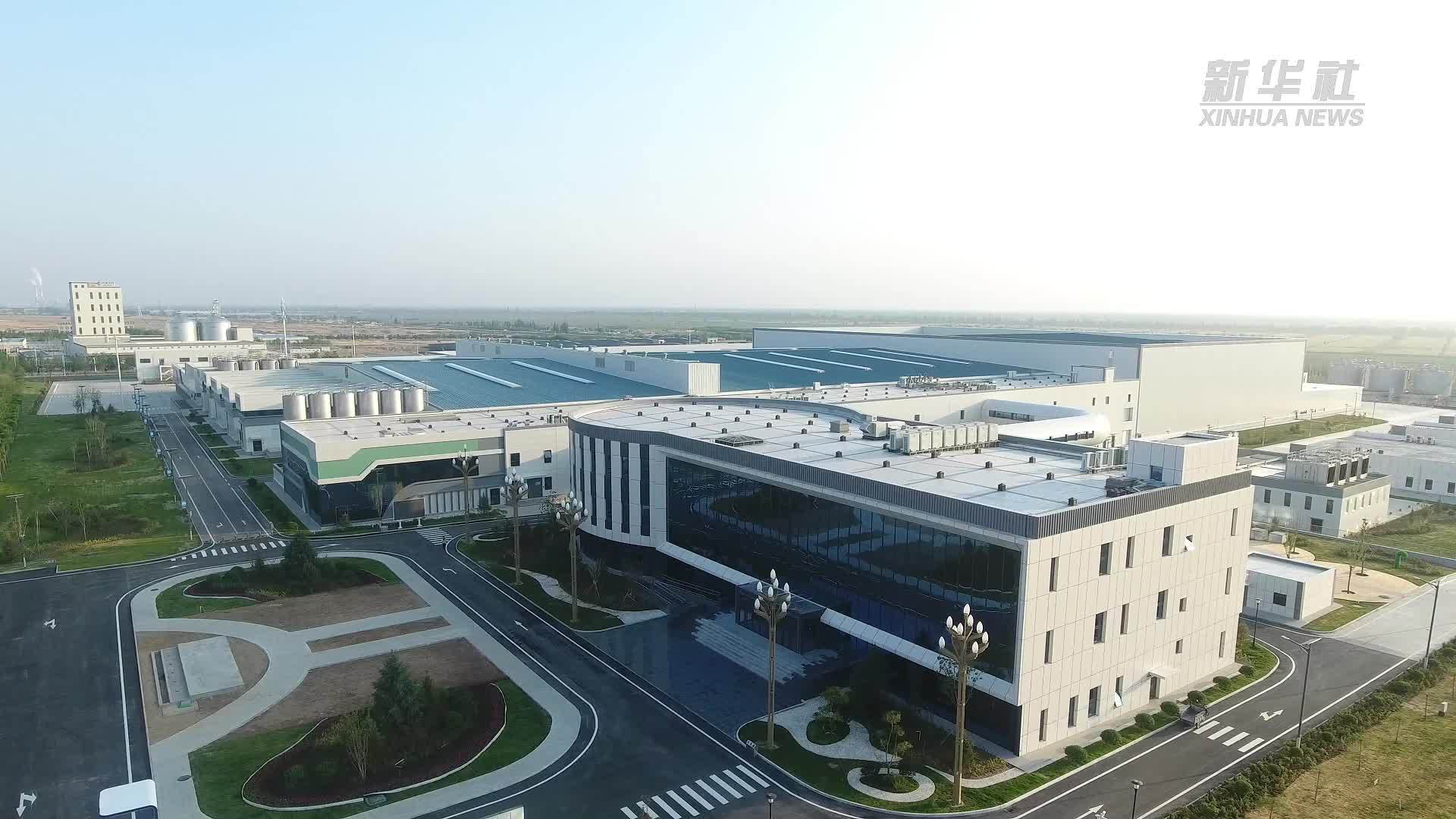 戈壁新农景｜数智化生产激活乳业高效能样本