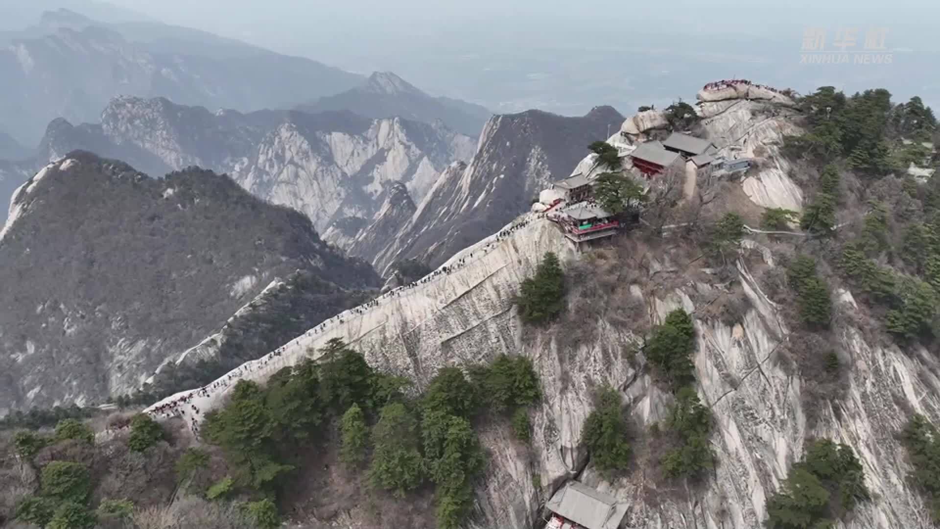 华山景区：山桃花开迎客来