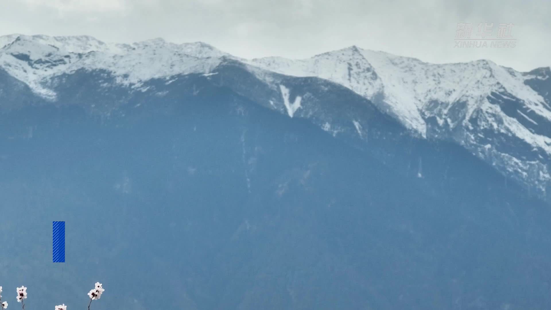 “雪域江南”桃花盛放 2025年林芝桃花节开幕