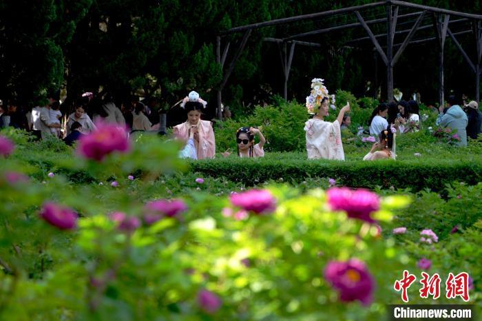 图为绽放的牡丹吸引游客打卡。中新社记者 李超庆 摄
