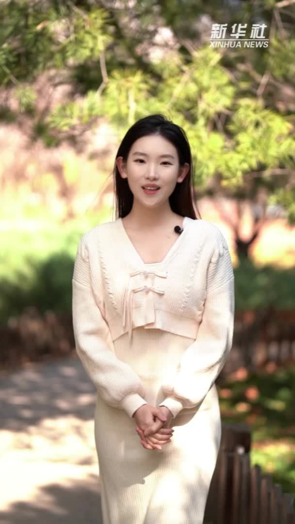 秀我中国｜清明：梨花风起正清明