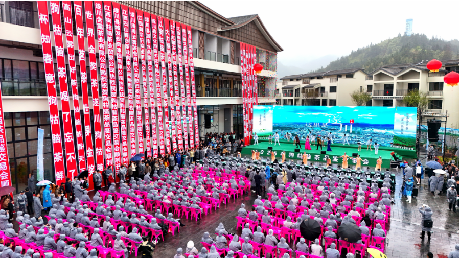 2025年狗牯脑茶品鉴交易会启幕