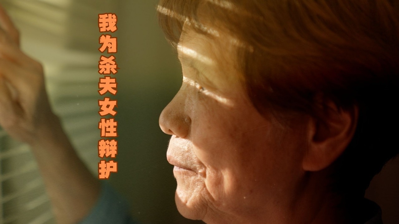 刀下留人·我为杀夫女性辩护