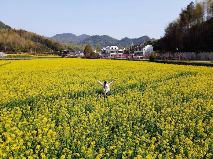 黄山市徽州区：花漾古村织锦秀 徽风皖韵促振兴