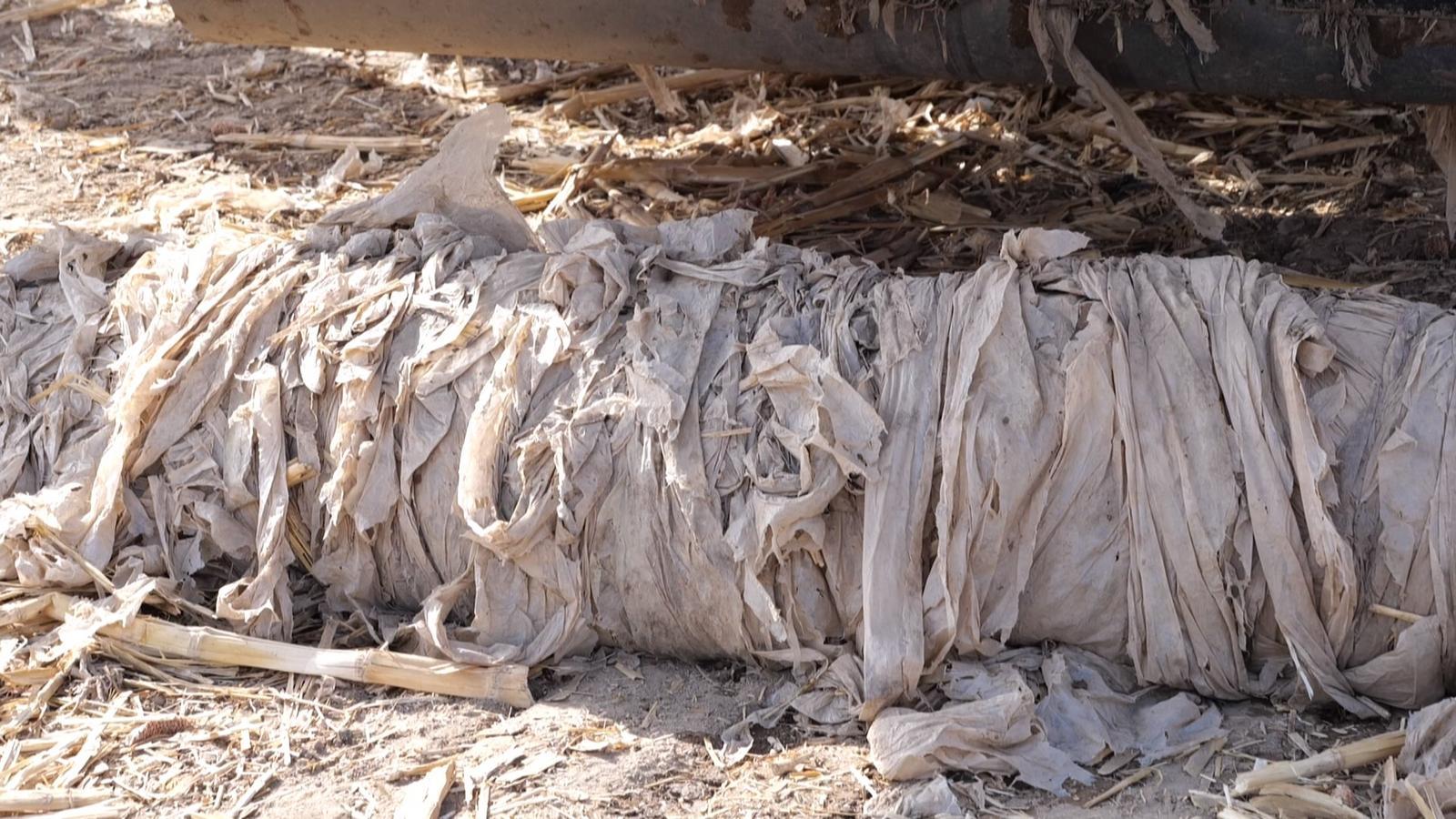 塑料姑娘“再嫁”记：看永昌人如何给它们找“婆家”