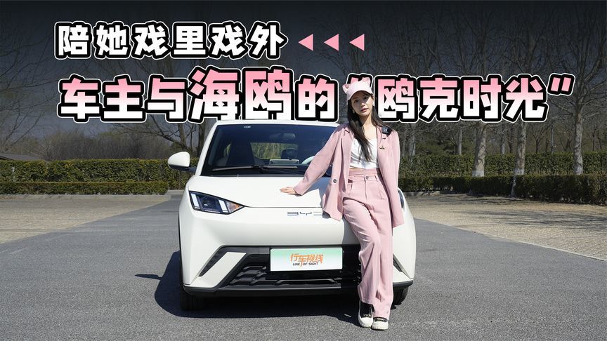 陪她戏里戏外，车主与海鸥的“鸥克时光”