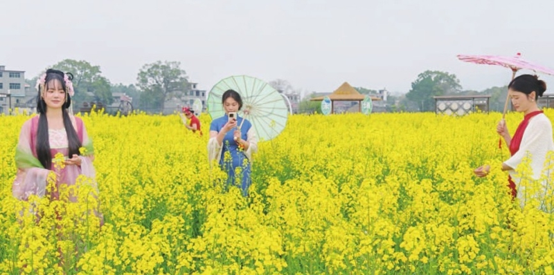 吉安渼陂古村引客来（图）