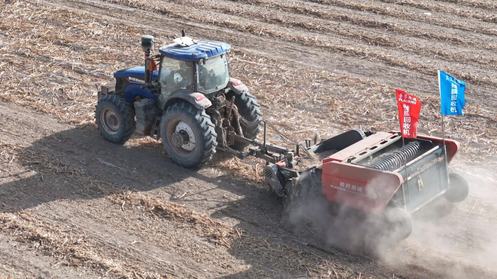 塑料姑娘“再嫁”记：看永昌人如何给它们找“婆家”