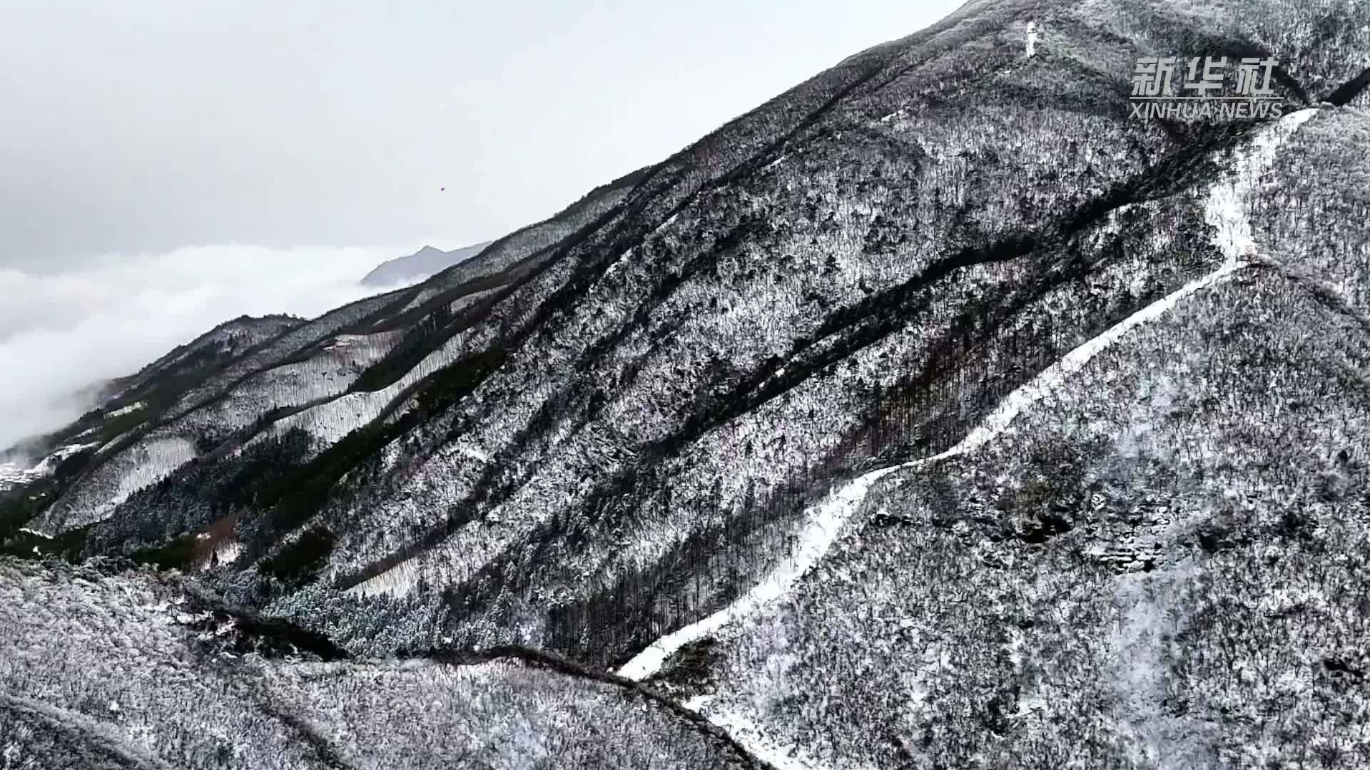箬岭古道：雪后美景入画来