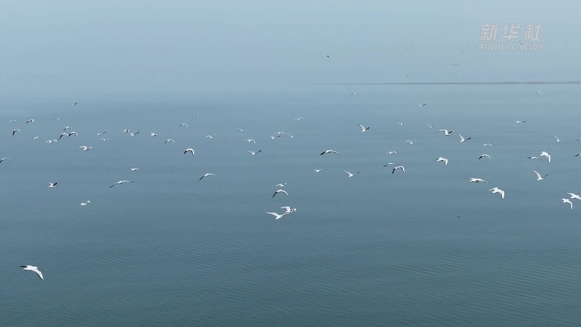 河南淅川：清明时节移民情