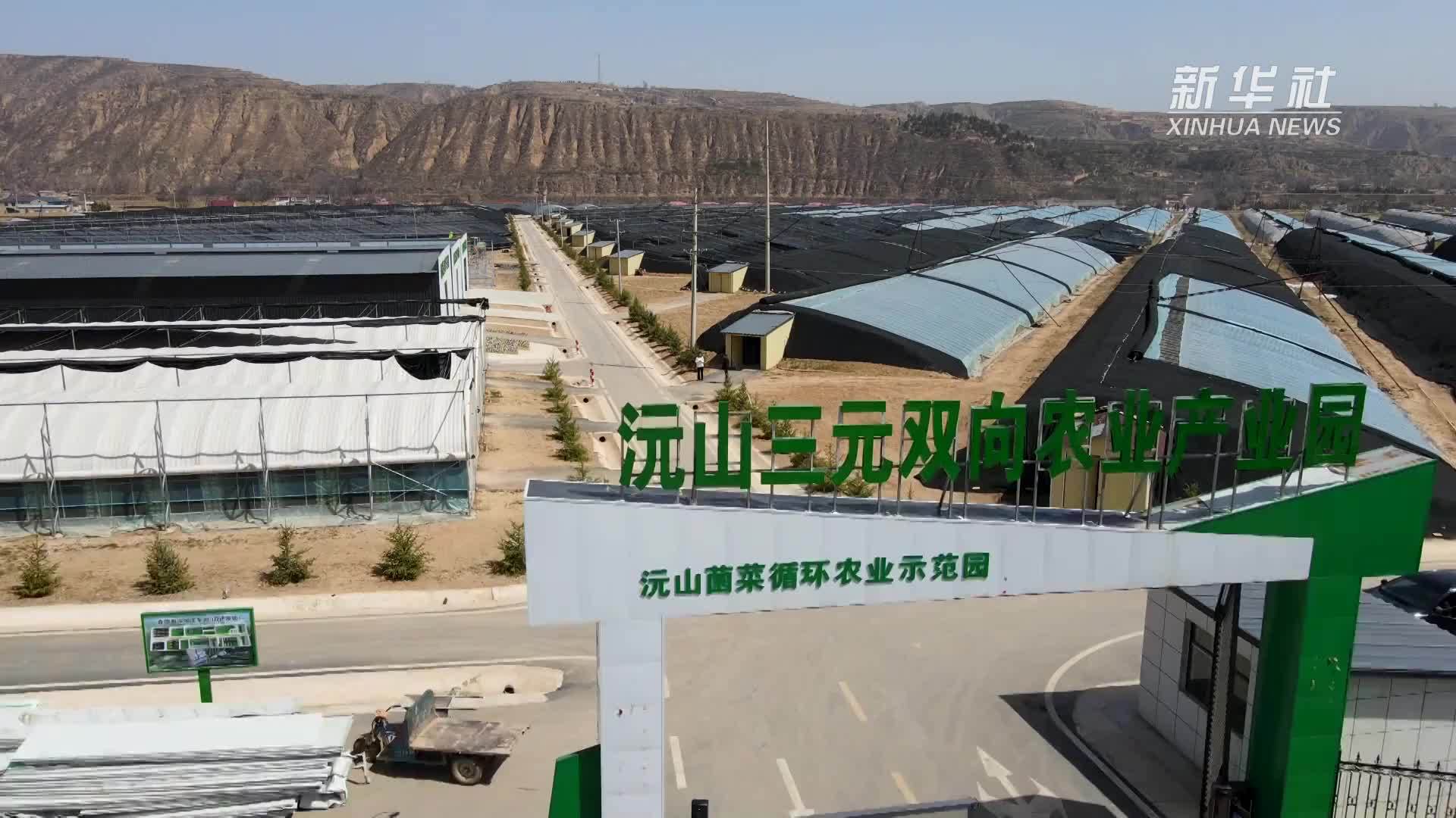 甘肃镇原：“三元双向”循环农业助推乡村振兴