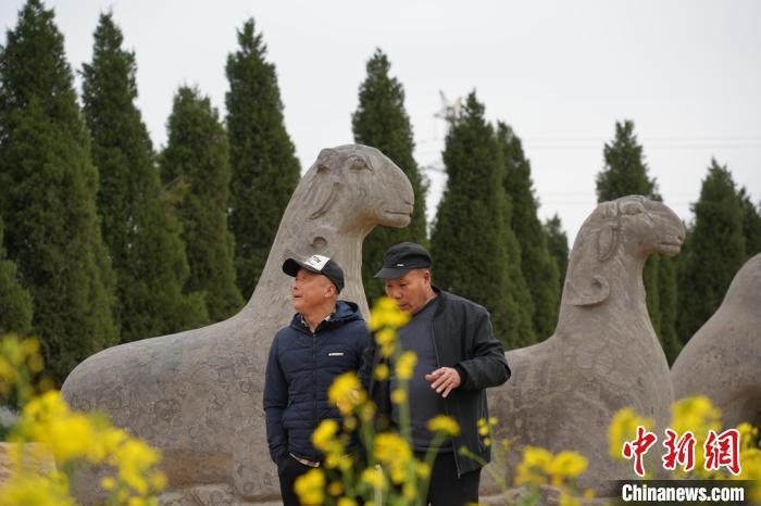 图为游客在永裕陵欣赏春景。经晓佳 摄