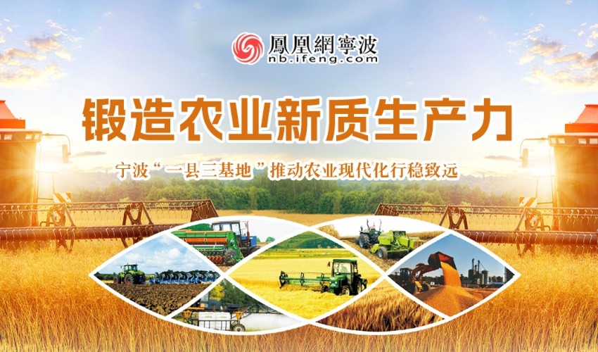凤凰专题|锻造农业新质生产力 宁波“一县三基地”推动农业现代化行稳致远