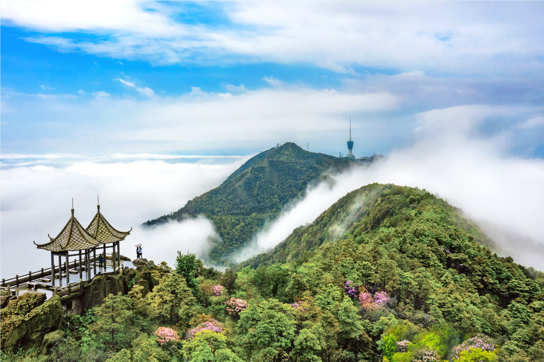 大美梧桐山