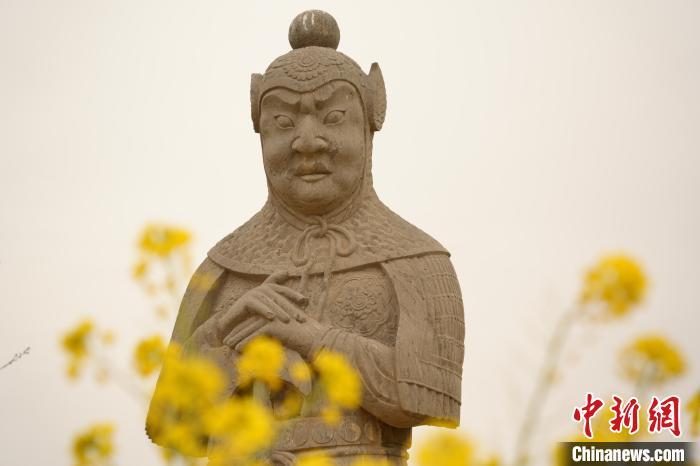 图为盛开的油菜花将石像生“包围”。经晓佳 摄