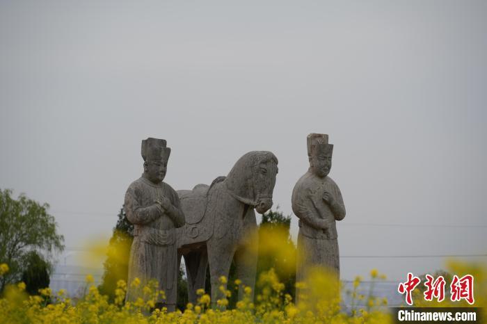 河南巩义：北宋皇陵菜花报春