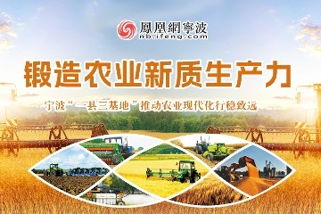 凤凰专题|锻造农业新质生产力 宁波“一县三基地”推动农业现代化行稳致远