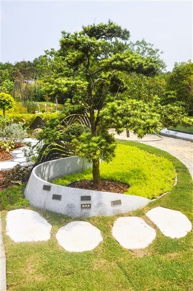 南昌福寿园的生态葬区像一个唯美的公园