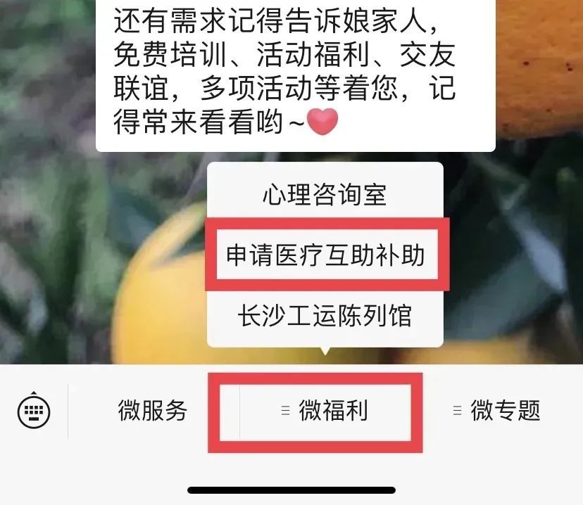 微信图片_20250328115310.jpg