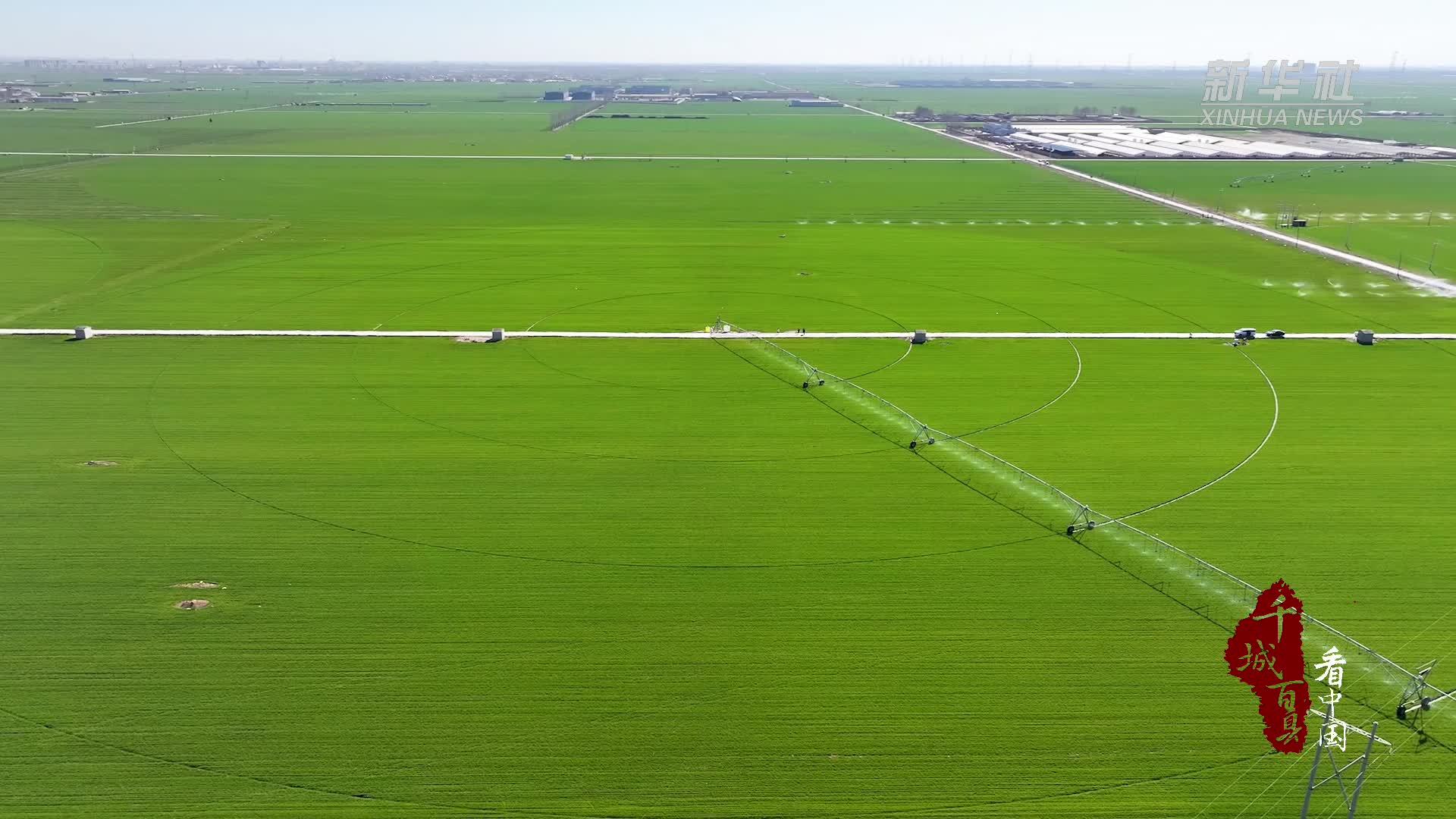 千城百县看中国｜河北宁晋：科技赋能让春管更高效
