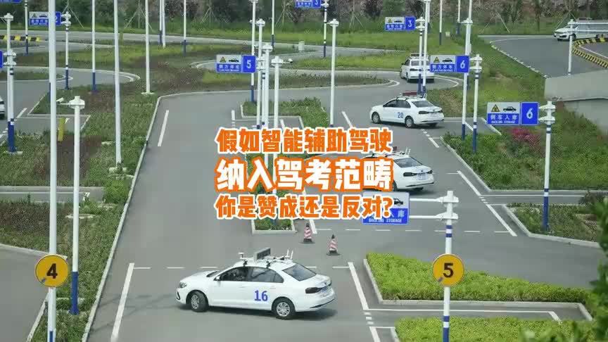 假如智能辅助驾驶纳入驾考范畴，你是赞成还是反对？