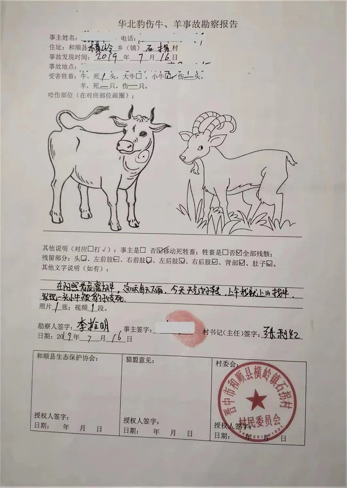 2016年，猫盟开启公益众筹，华北豹保护项目第一次得到公众资助，以“给豹子买牛排”为目标筹集生态补偿资金，图为豹攻击家畜申请赔偿的报告单