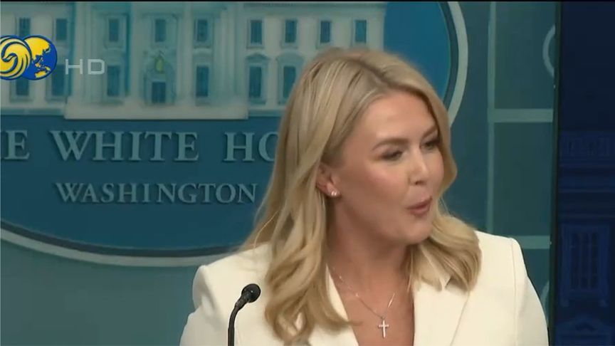 马斯克与白宫贸易顾问公开叫骂，白宫缓颊：男孩子就是这样