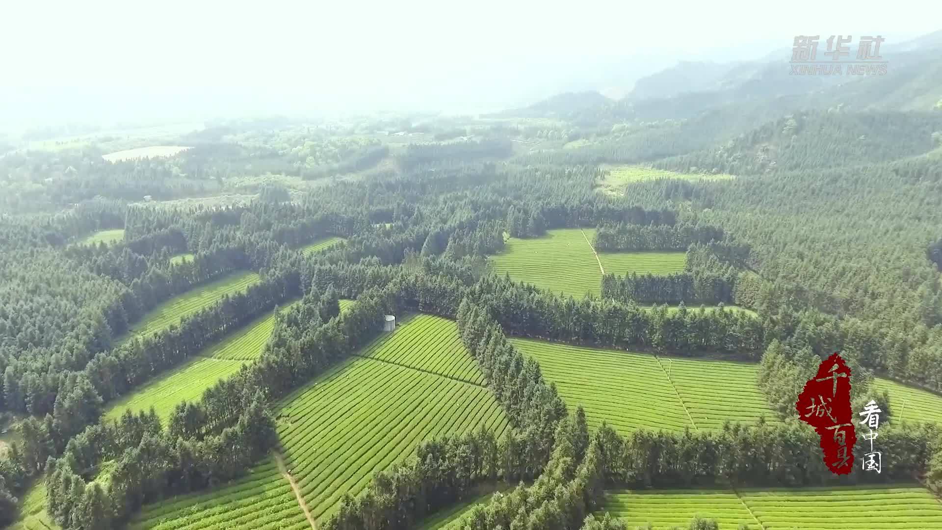 千城百县看中国｜湖南祁阳：茶山变“游园”文旅“套餐”促振兴