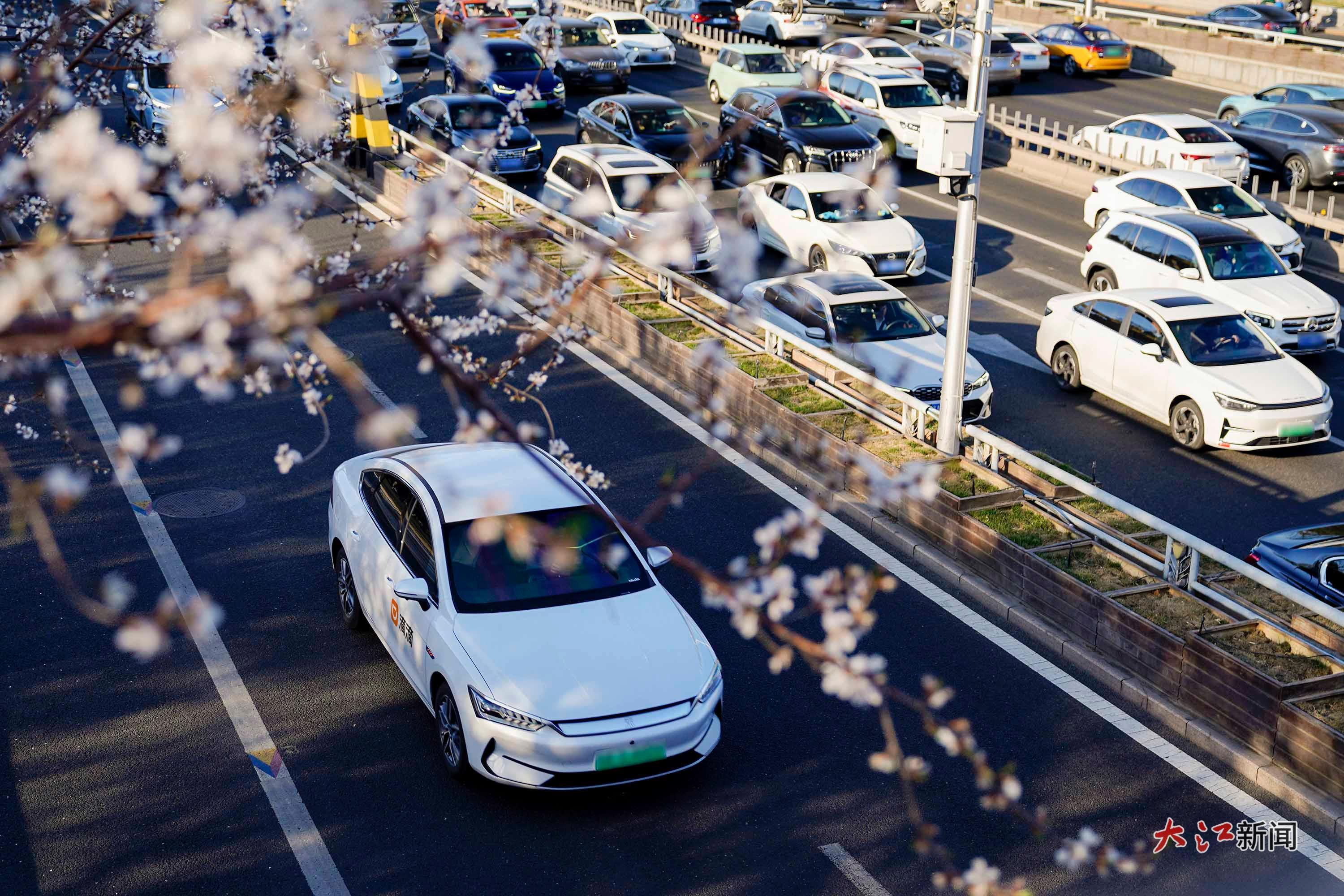 清明假期 南昌打车去露营需求进入全国Top5