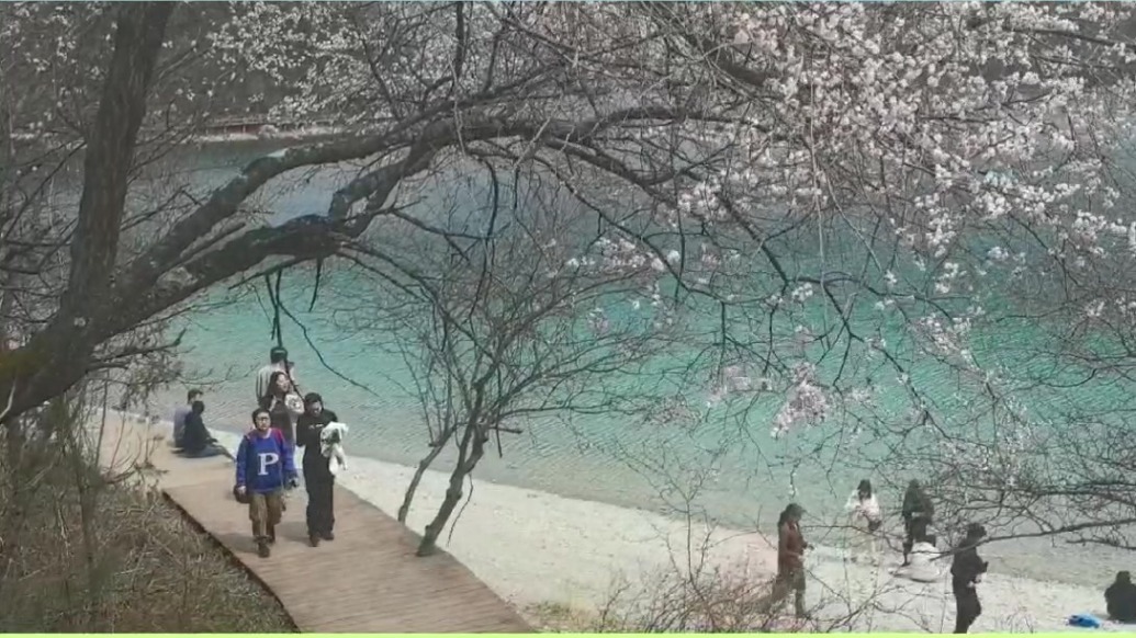 文县天池景区游人如织秩序井然