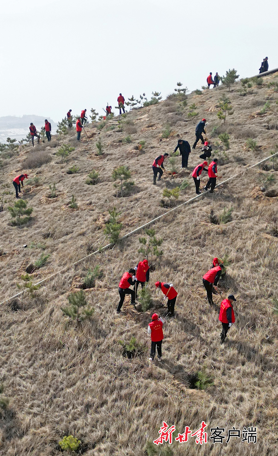 4月3日，永靖县干部职工和志愿者在三塬镇黄河刘家峡水库北岸的荒山荒坡上义务植树，用实际行动为母亲河畔增添新绿。新甘肃&middot;甘肃日报通讯员　史有东