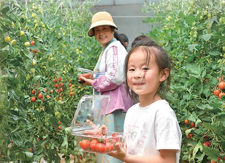 游客在秦东生态农场体验采摘乐趣