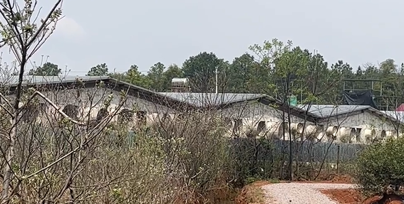 万安县窑头镇剡溪村高标准改造未联通水渠影响春耕