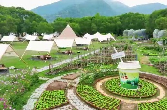 一份露营邀请函