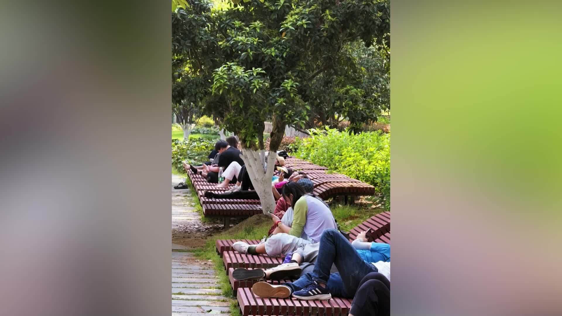 “躺到不想走了”，东湖景区躺椅走红，负责人：后期若有合适的场地，会尽可能增设