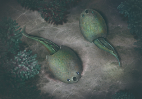 圖為隆平德安魚(yú)生態(tài)復(fù)原圖。（中國(guó)科學(xué)院古脊椎動(dòng)物與古人類(lèi)研究所供圖）