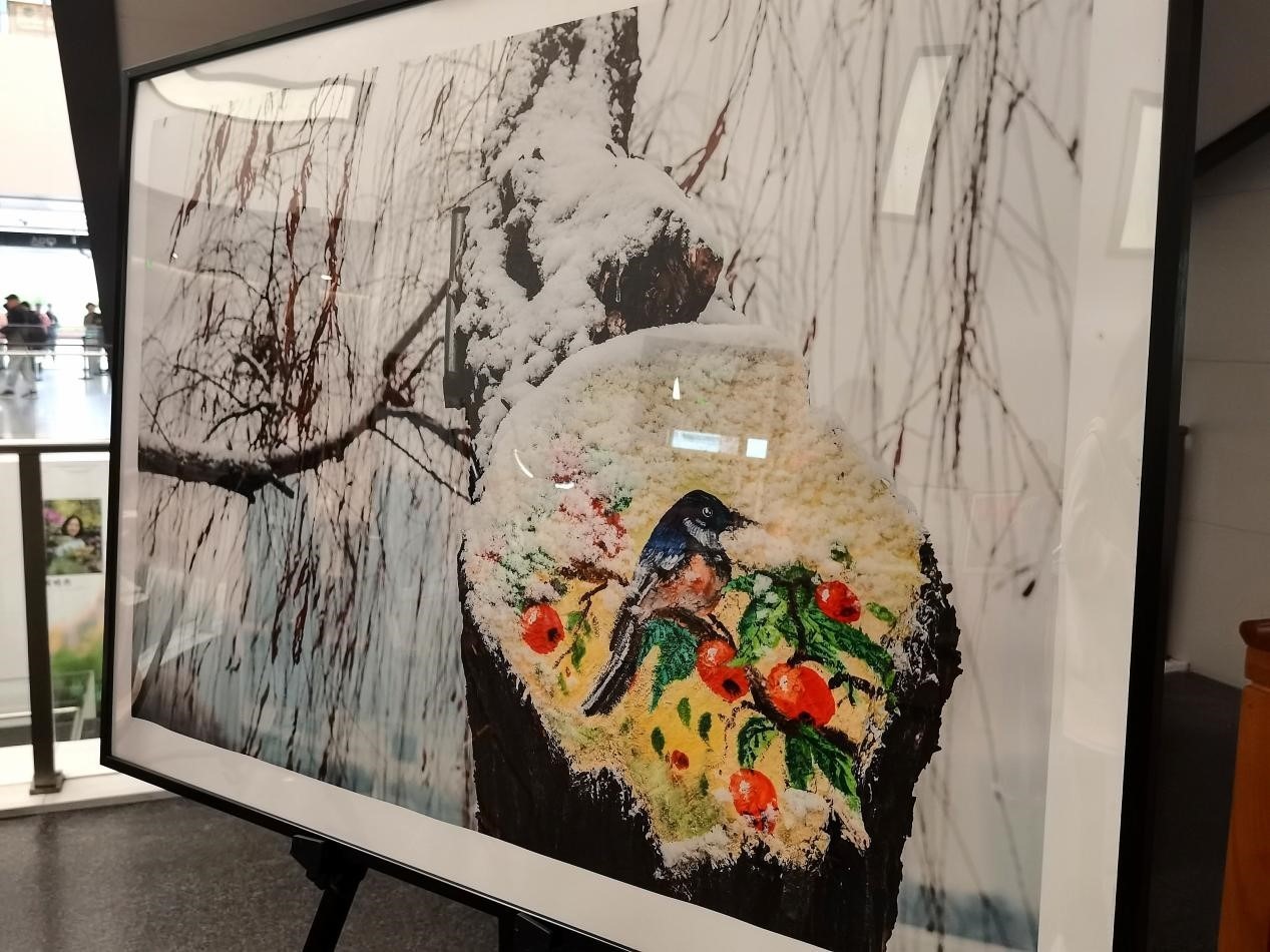 第三届《她影像》安徽省女摄影家作品联展开幕