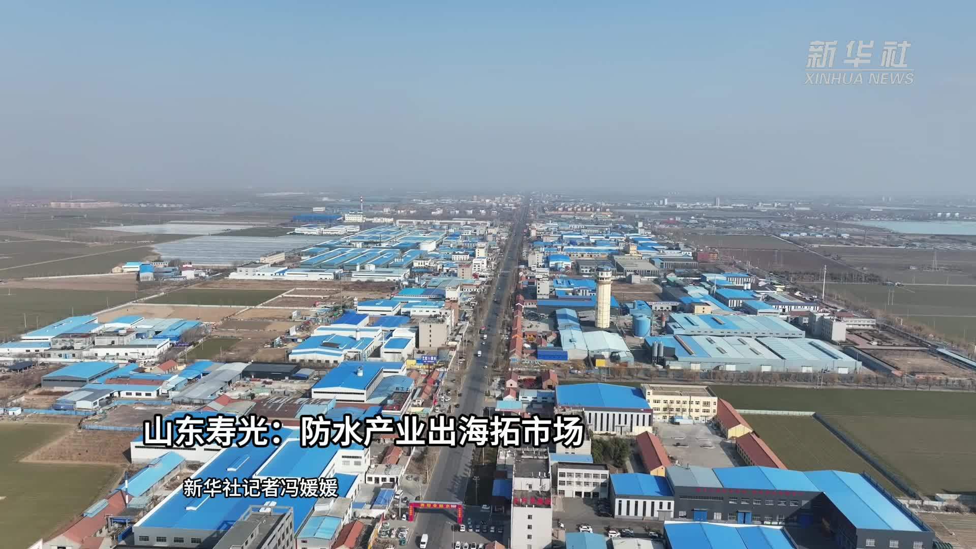 山东寿光：防水产业出海拓市场