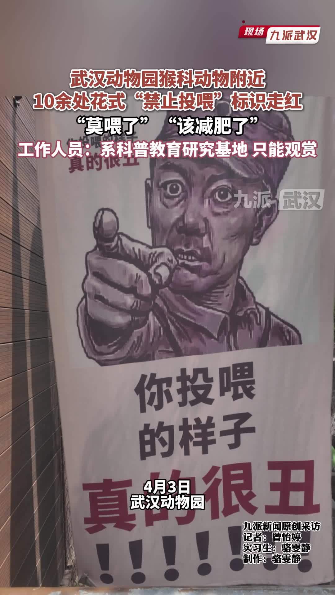武汉动物园内10余处花式“禁止投喂”标识走红，工作人员：科普教育研究基地，只能观赏