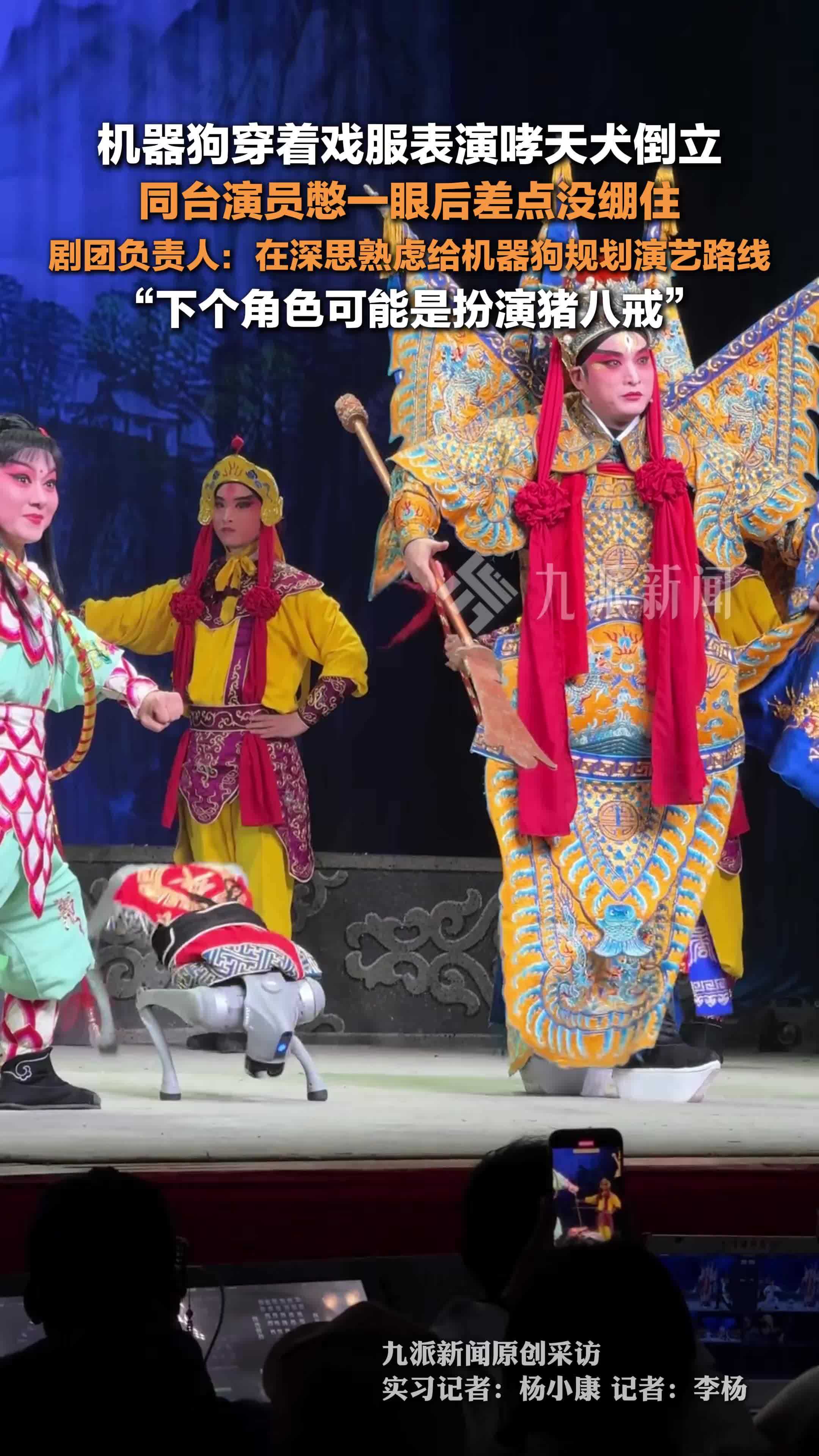 机器狗穿着戏服表演哮天犬倒立，剧团负责人：下个角色可能是扮演猪八戒_凤凰网视频_凤凰网