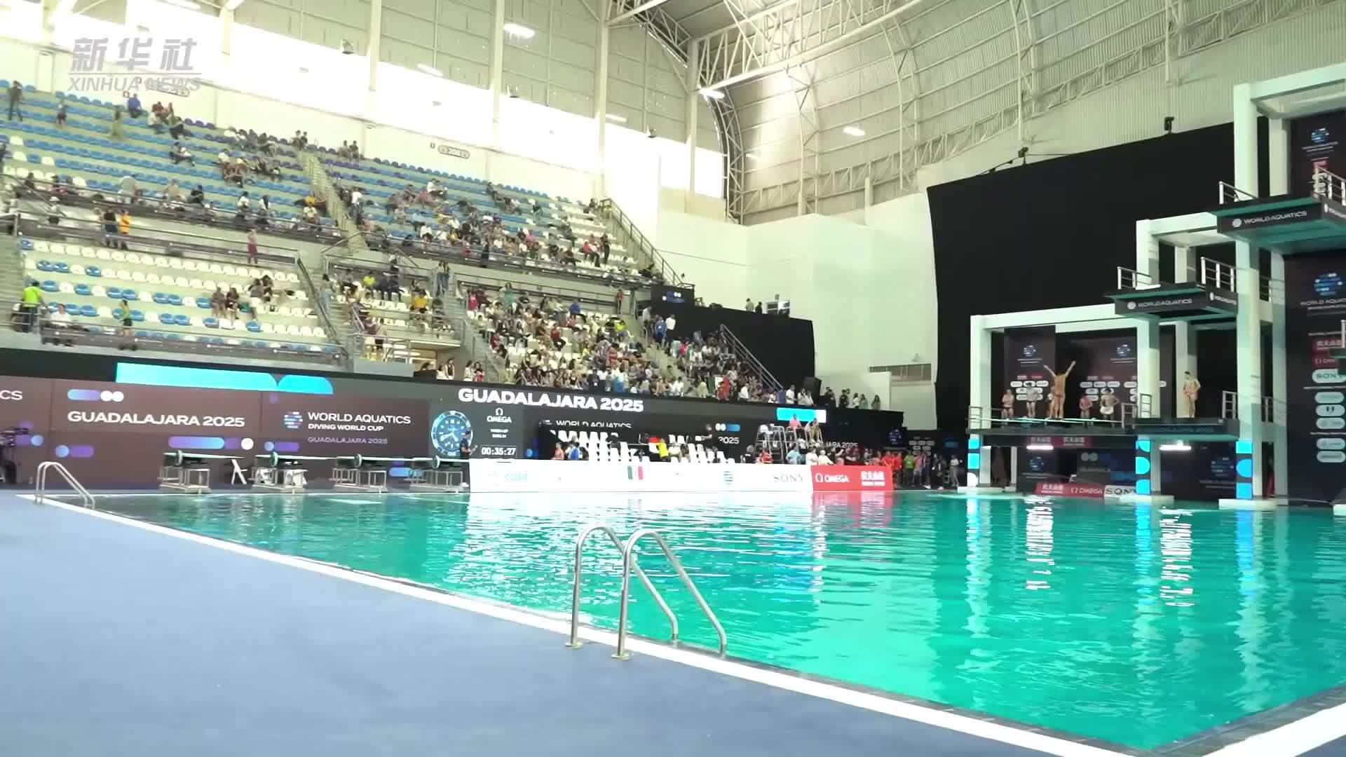 单日揽四金后，跳水“梦之队”说了什么？