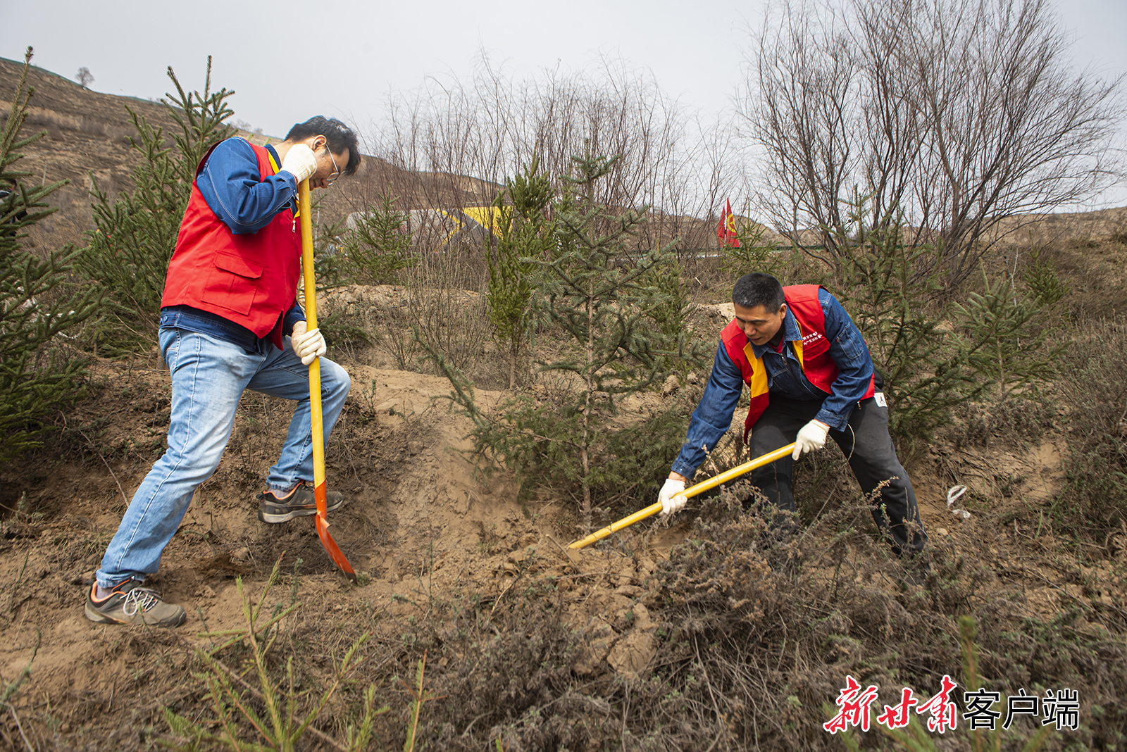 4月9日，国网甘肃刘家峡水电厂等单位在永靖县杨塔乡水库旁开展植树护绿活动，以行动践行绿色发展理念，助力生态改善。新甘肃&middot;甘肃日报通讯员　钟世文