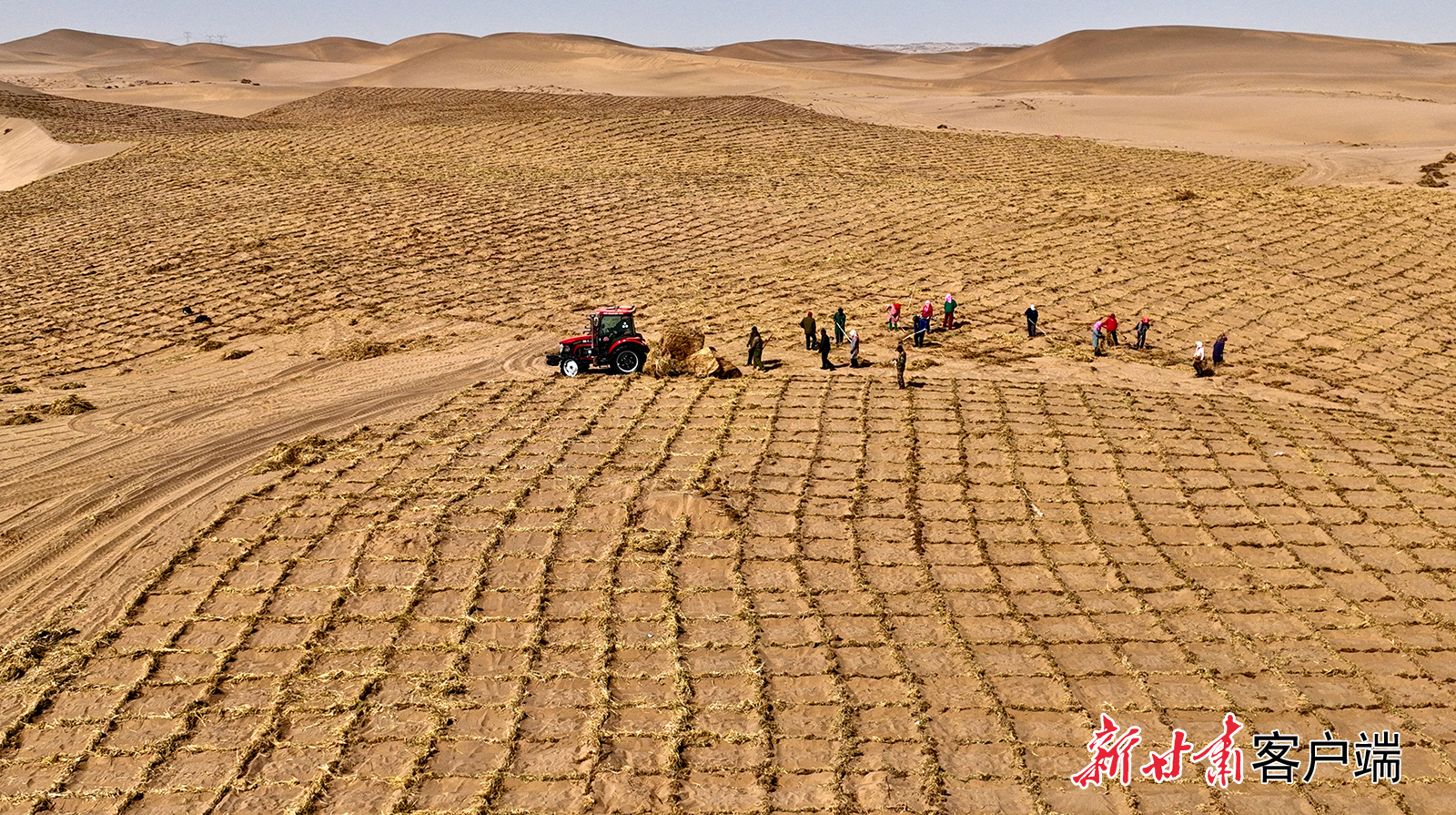 3月20日，在临泽县巴丹吉林沙漠南缘，运送稻草的车辆来回穿梭，千名治沙工人在沙丘上营建沙障和固沙林带。新甘肃&middot;甘肃日报通讯员　王将　张延平