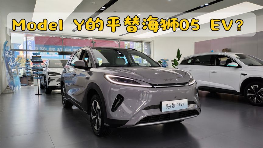 Model Y的平替海狮05 EV？