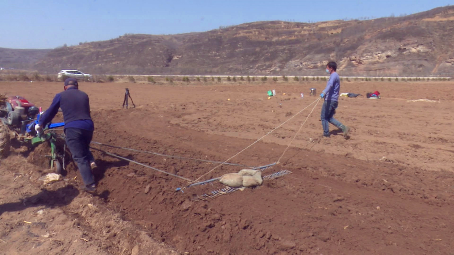 一株草药种出百姓致富千金方　华亭村集体经济"壮"起来