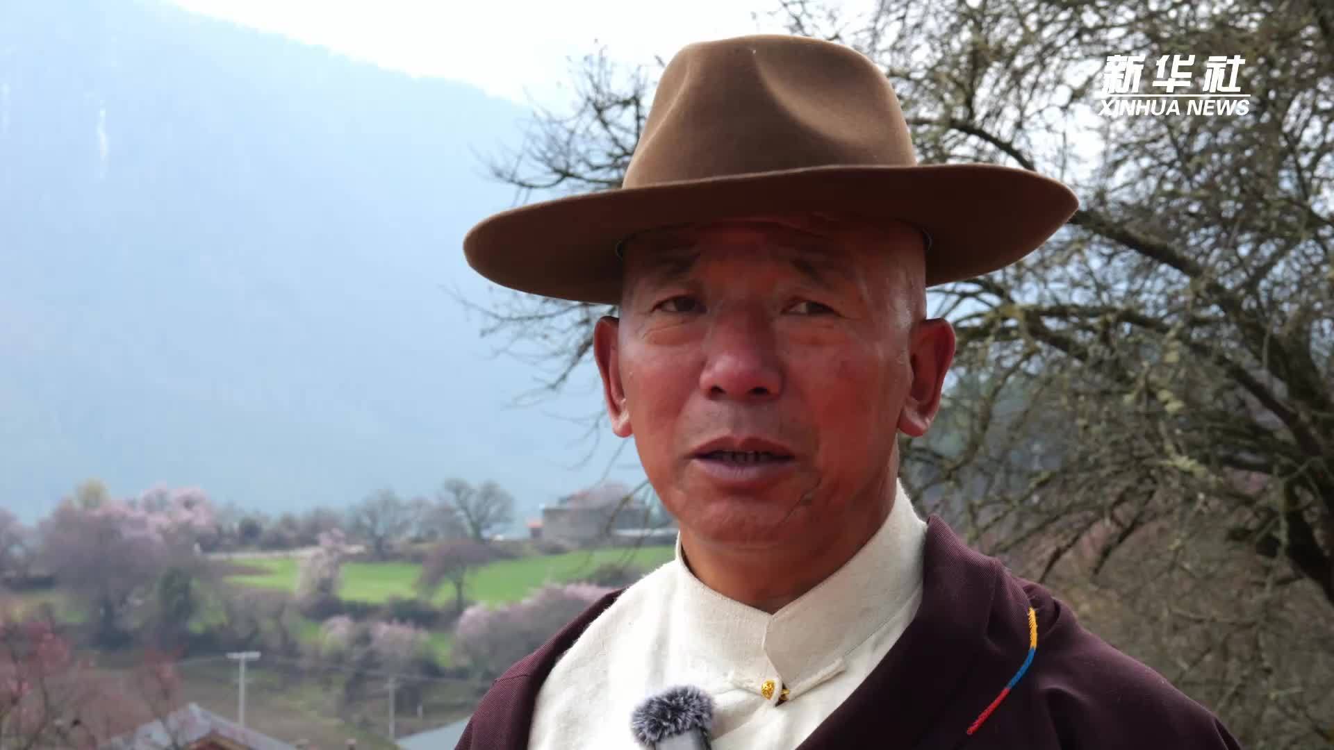 高原“春”来｜生态民宿“致富经”