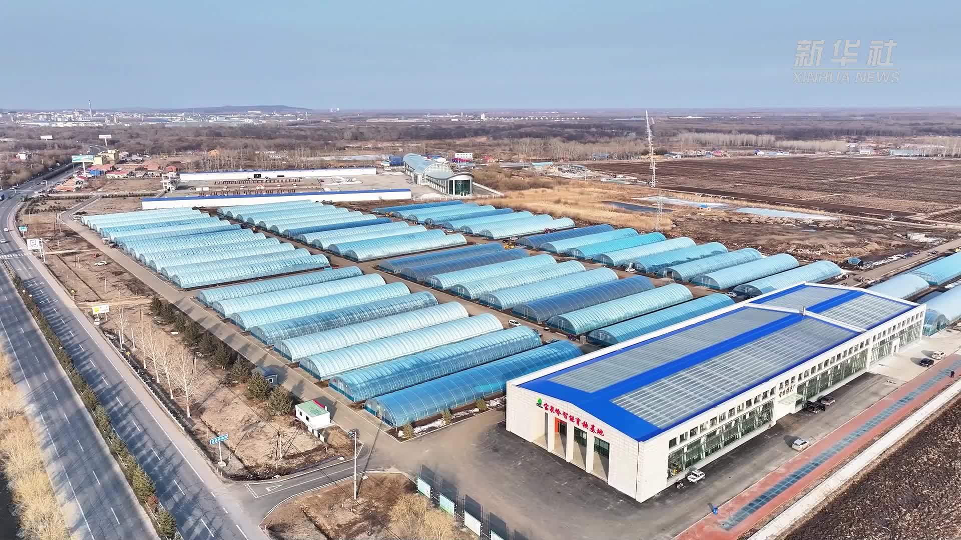 黑龙江：科技赋能“智慧春耕”新图景