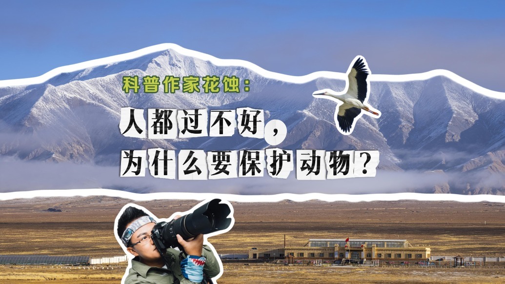科普作家花蚀：人都过不好，为什么要保护动物？